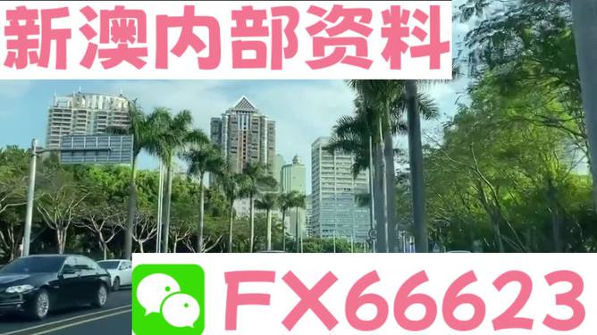 新澳2024年精准资料科技成语分析与创意版展望