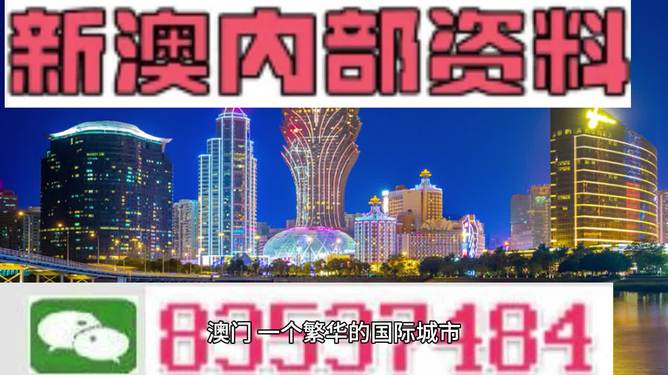 新澳2024正版免费解析与收藏版揭秘，均衡解答解释落实背后的风险警示