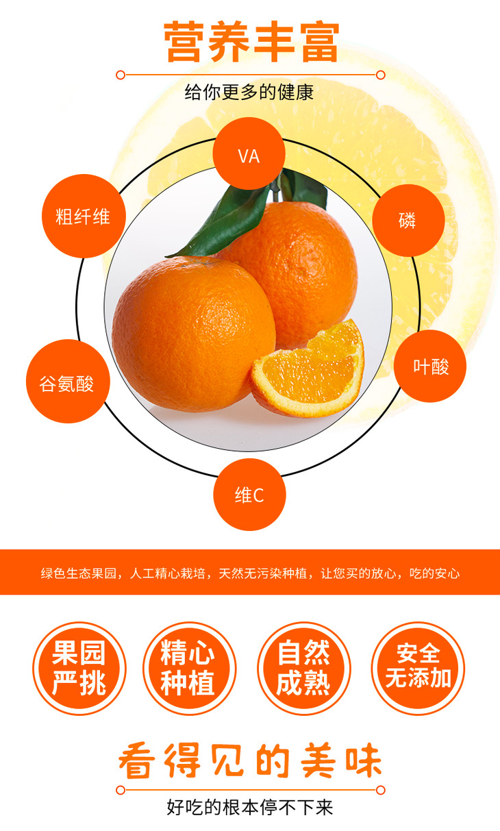 赣南脐橙营养价值深度解析，图片与数据资料探索版