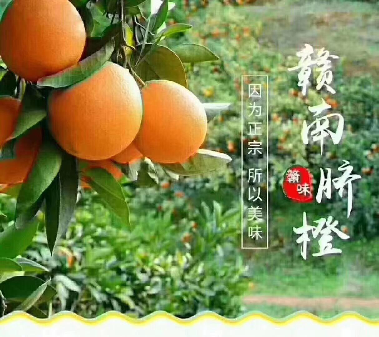 抹茶夏天i 第14页