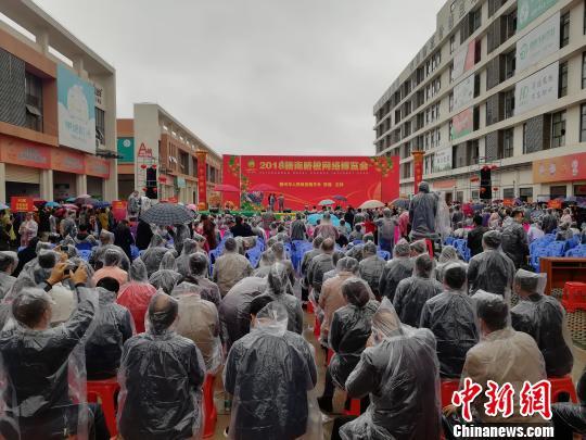 安远早脐橙种植，独特的农业实践与文化传承之旅