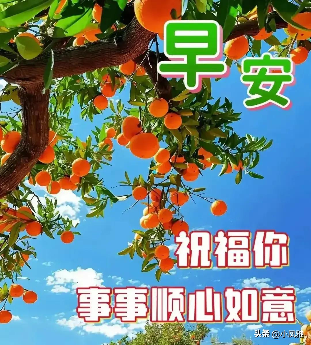 2024天天彩正版资料大全,智能互动拓展_优化版6.215