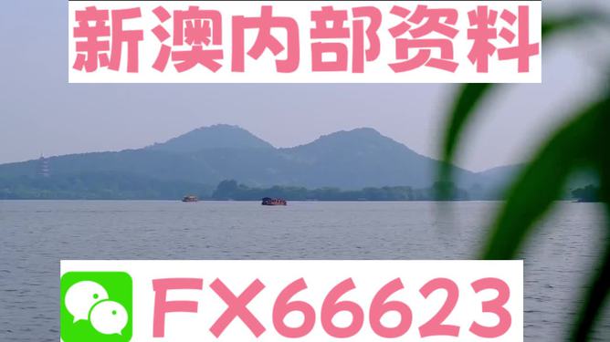 2024新澳正版免费资料大全,深层数据应用执行_6K版66.256