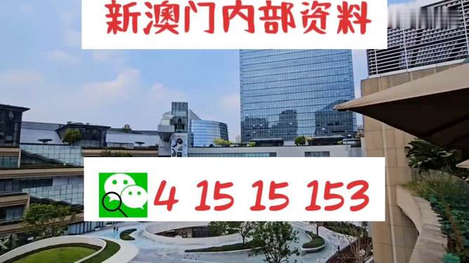 新澳门天天资料,高效计划分析实施_uShop62.888