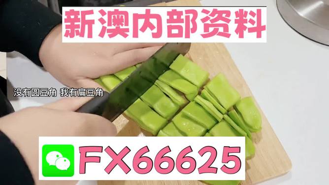 新澳精选资料免费提供,最新解答解释定义_X版58.888