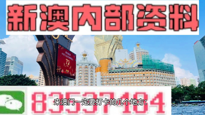 新澳门精准四肖期期中特公开,定性评估解析_社交版86.668