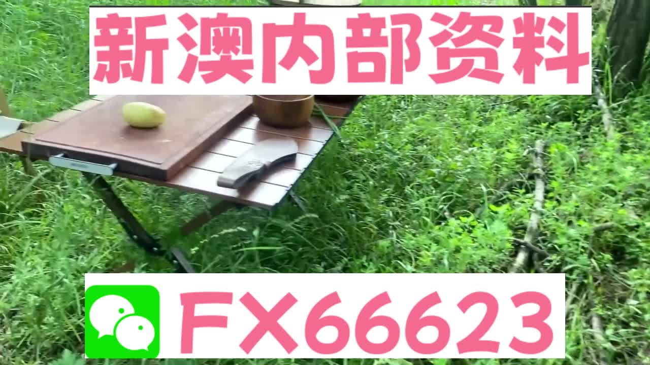 新澳资料免费精准期期准,平衡策略指导_VIP88.666