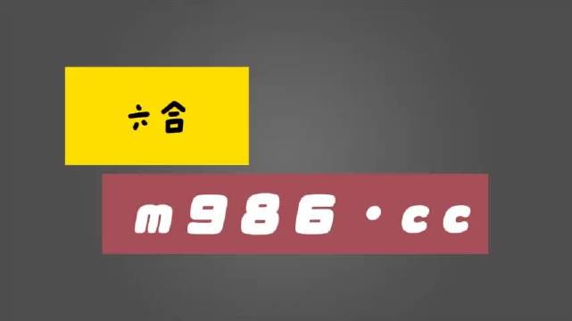 2024年11月17日 第11页