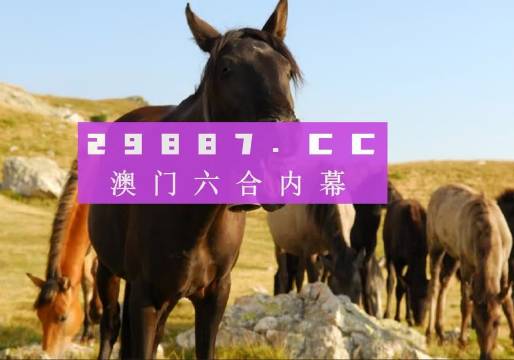 澳门管家婆-肖一码,全面分析说明_界面版66.638