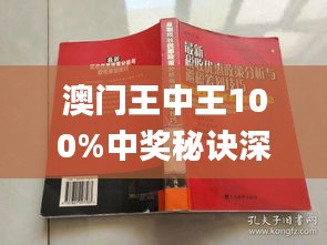 新澳门王中王100%期期中,精细化计划执行_特供版82.883