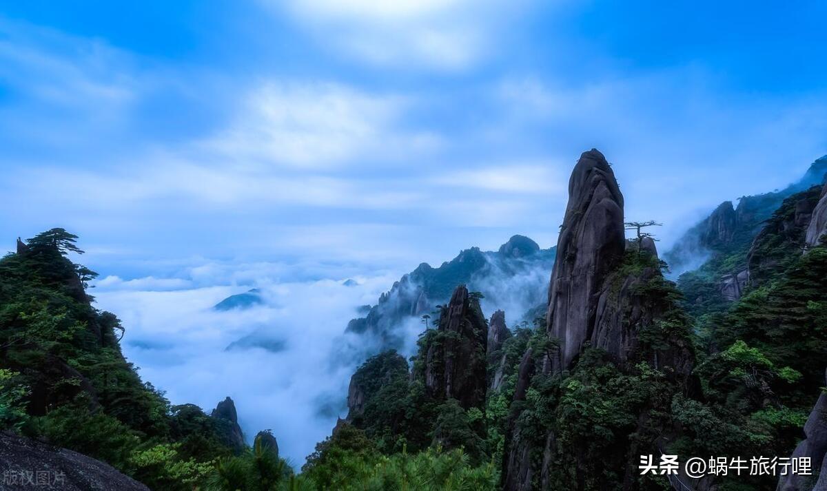 江南大学研究生招生专业目录详解解析