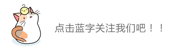 2024年12月2日 第8页