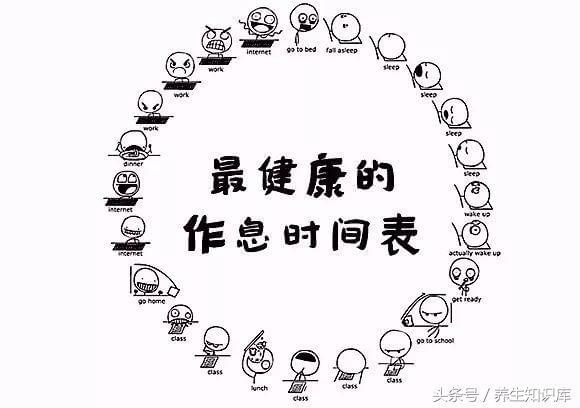 规律作息，实现高效养生的秘诀