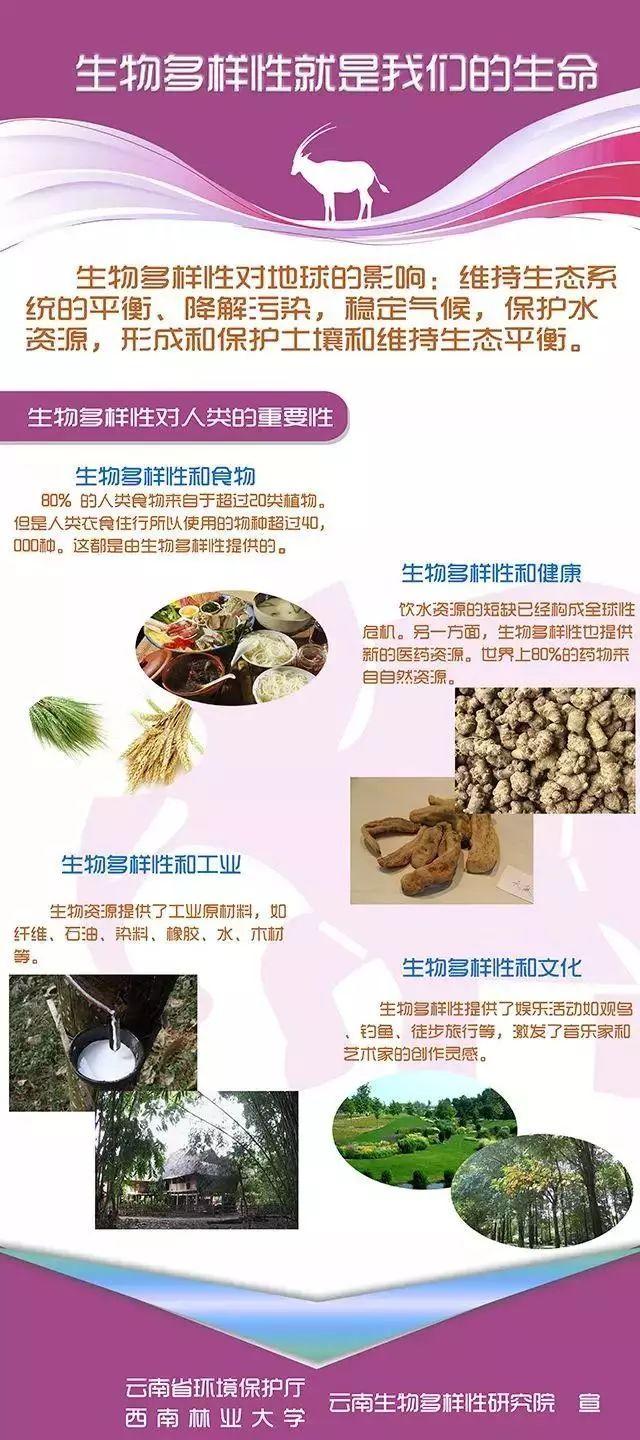 全球生物多样性保护的难点及对策解析