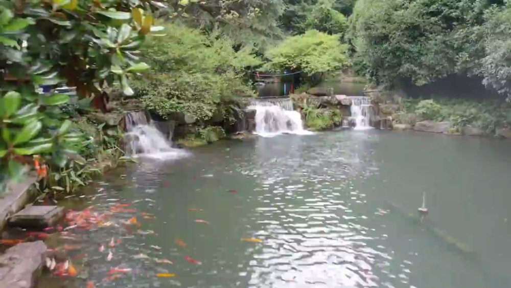 跨省旅游恢复与景区接待能力提升，旅游业复苏在望