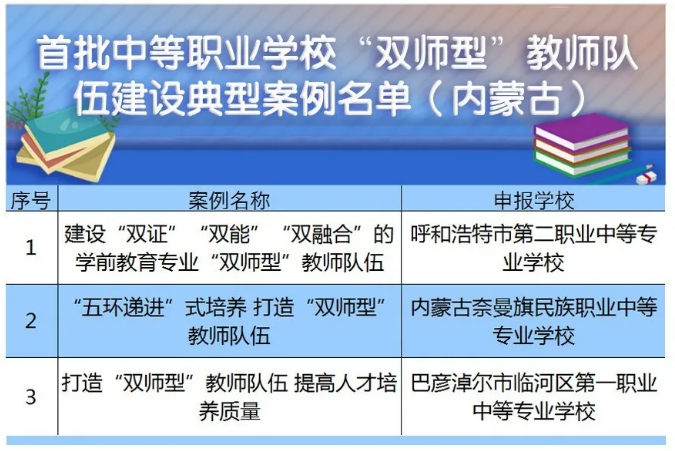 职业教育双师型教师队伍建设，现状、挑战与应对策略的深化探讨