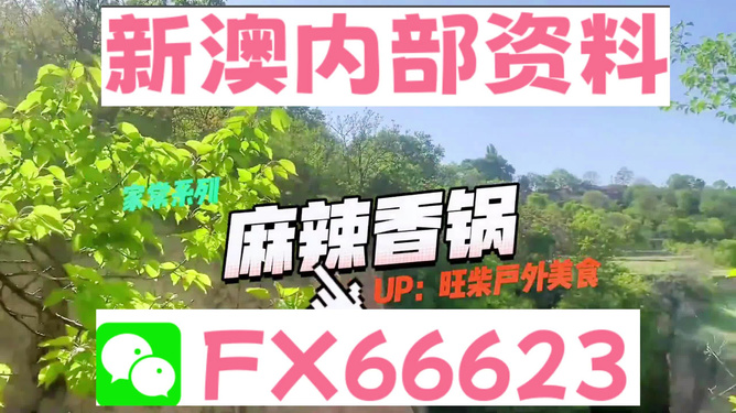 新澳天天免费精准资料大全,路径优化精准方案执行_智领版52.36.90