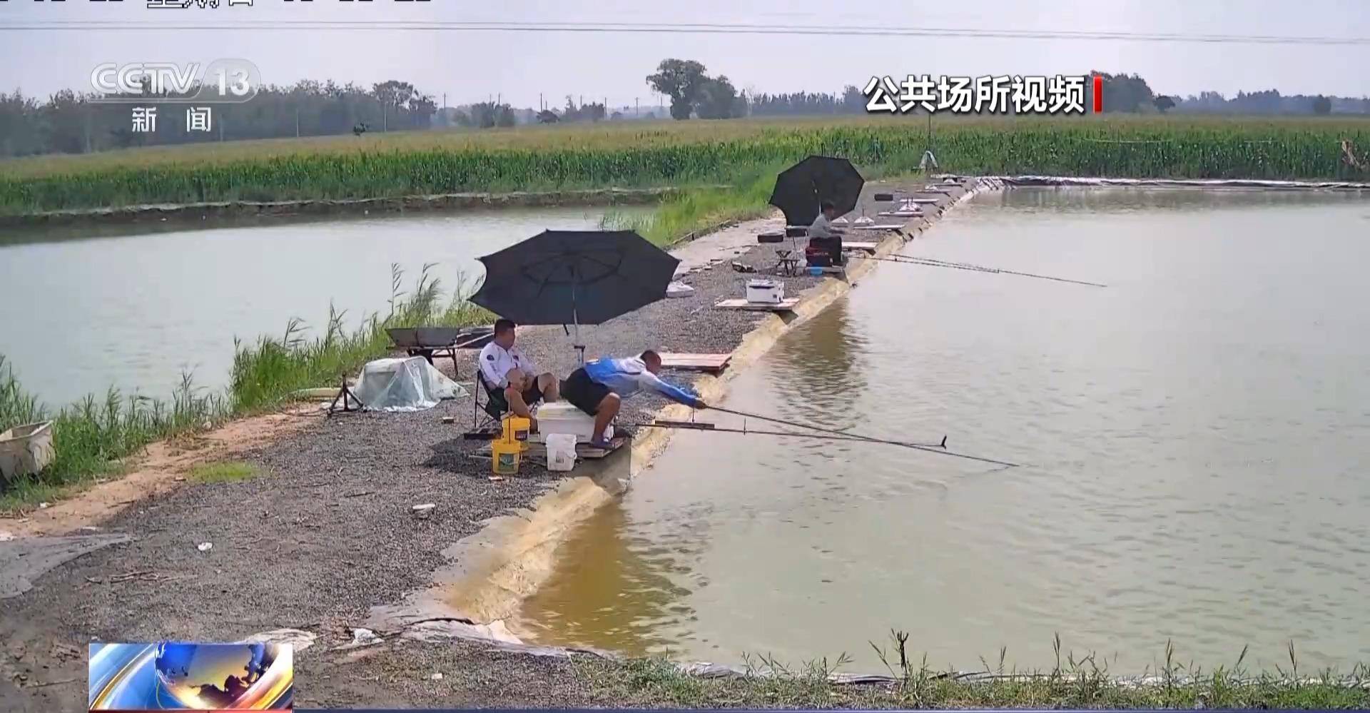 垂钓产业繁荣，千亿元大市场揭秘