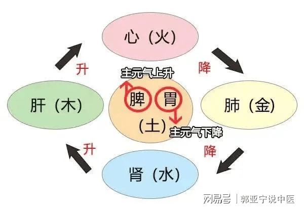 2024年12月10日 第15页