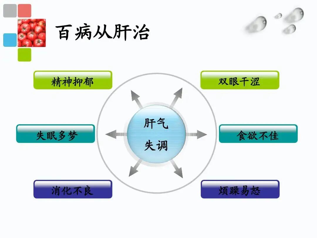 中医肝脏调理与压力缓解之道