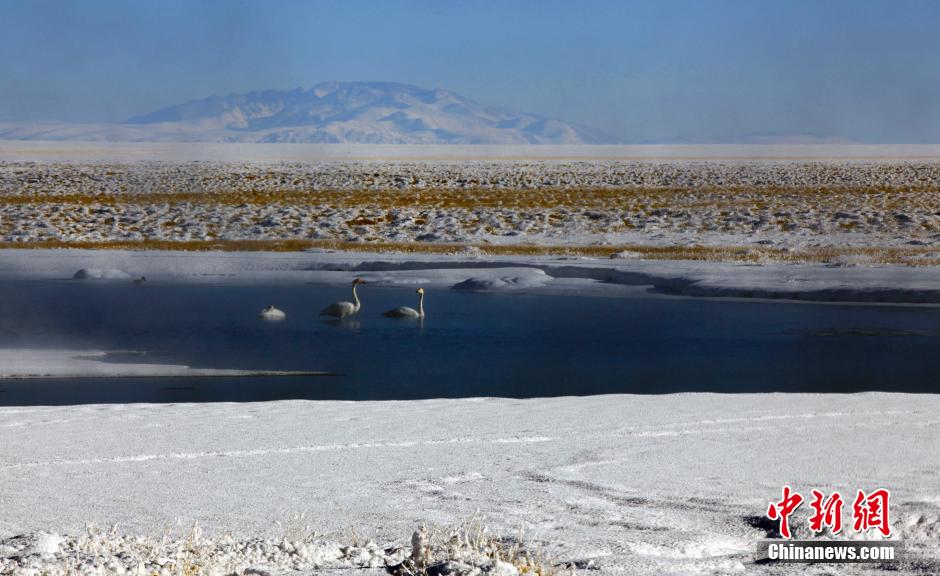 巴音布鲁克极寒天气，-42.5℃下的手机杀手危机