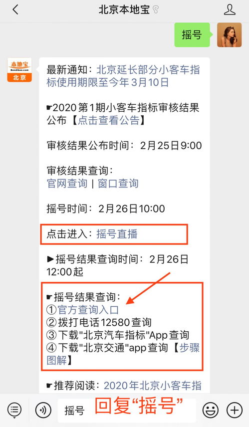 北京摇号结果公布，影响、反响与未来展望