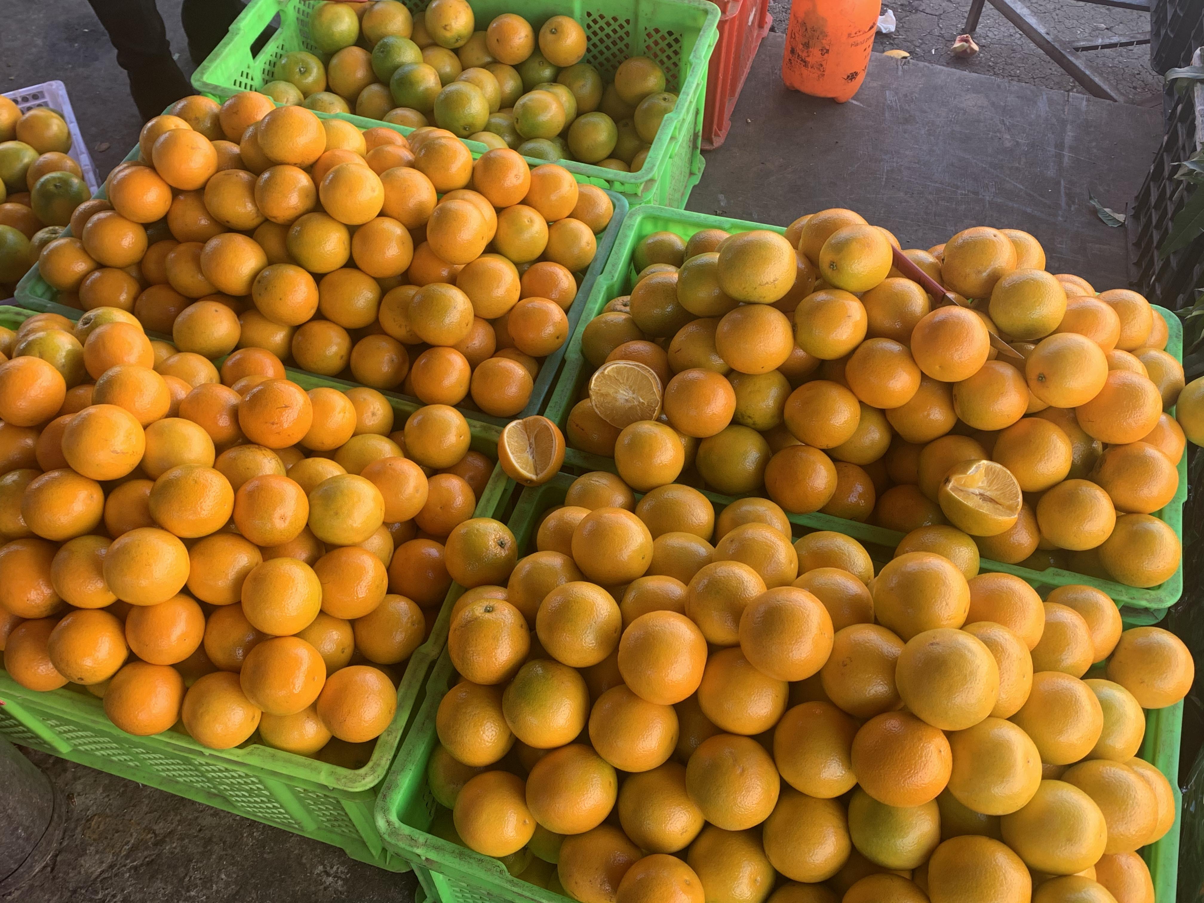 赣南脐橙上市时，季节甘甜的品味