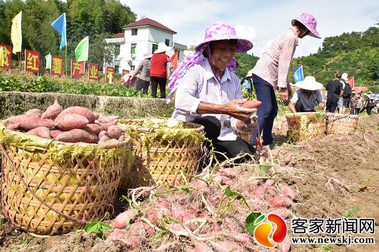 安远脐橙基地，探寻江西赣州的美味明珠