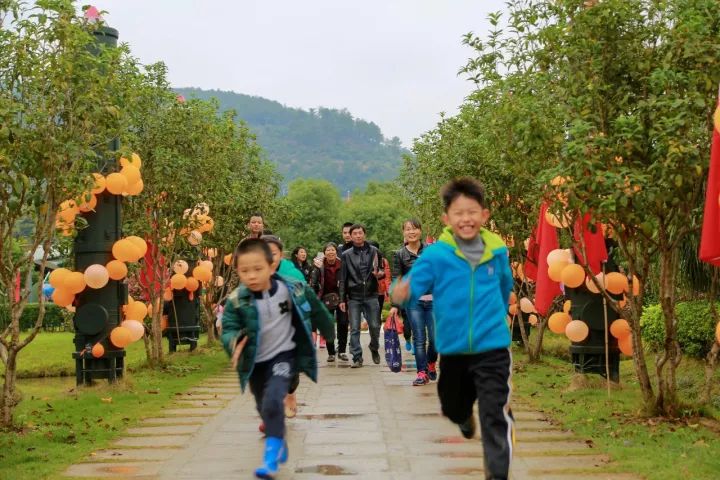 安远脐橙乡村旅游，体验脐橙之乡的独特魅力