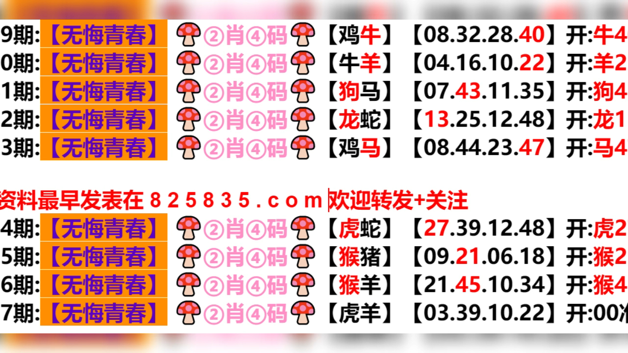 澳门新开奖结果及未来展望，2024年开奖记录深度解析