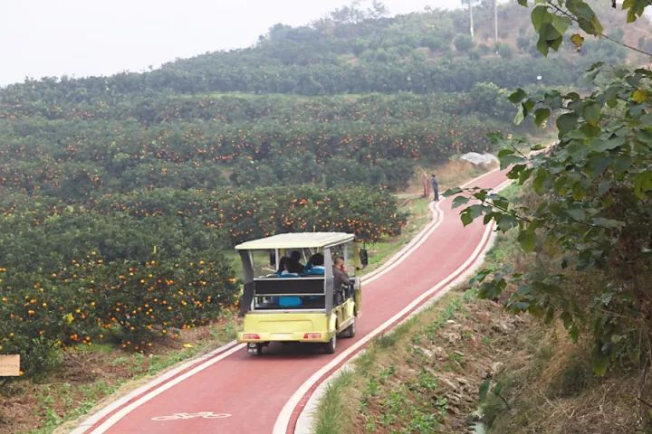 安远县脐橙果园路面改造项目，关键举措助力果园现代化升级