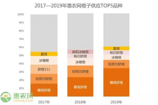 今年脐橙价格走势分析，市场现状与预测