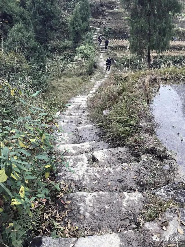 西藏震后重建真相揭秘，探究不实传闻背后的真相