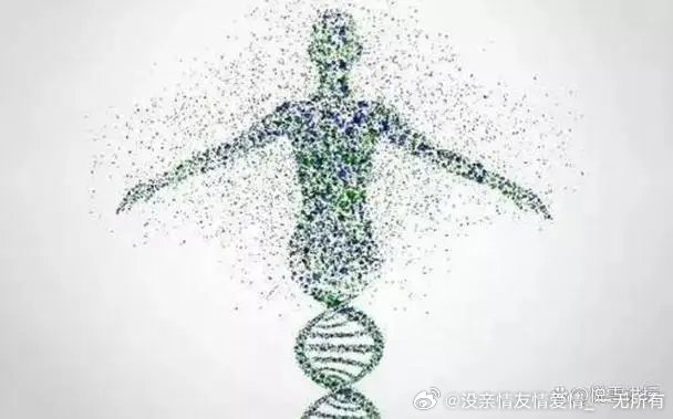 科学家揭示生命时钟新篇章，短命基因发现引领生命科学研究新突破