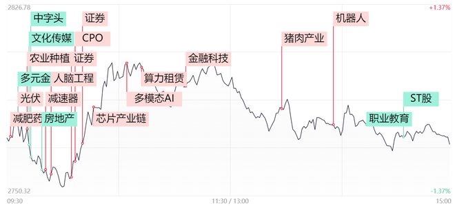 美股AI概念股集体大跌背后的深度分析与观察