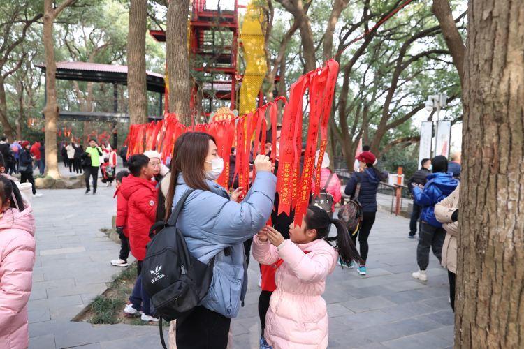 上海市民佘山祈福，传统信仰与现代生活的和谐交融